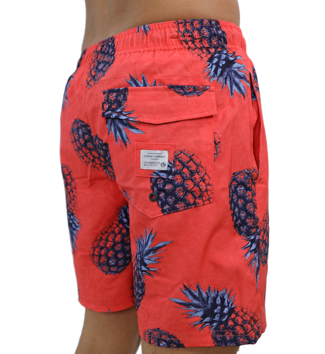 Pinaloco coral (YOUNG MENS)