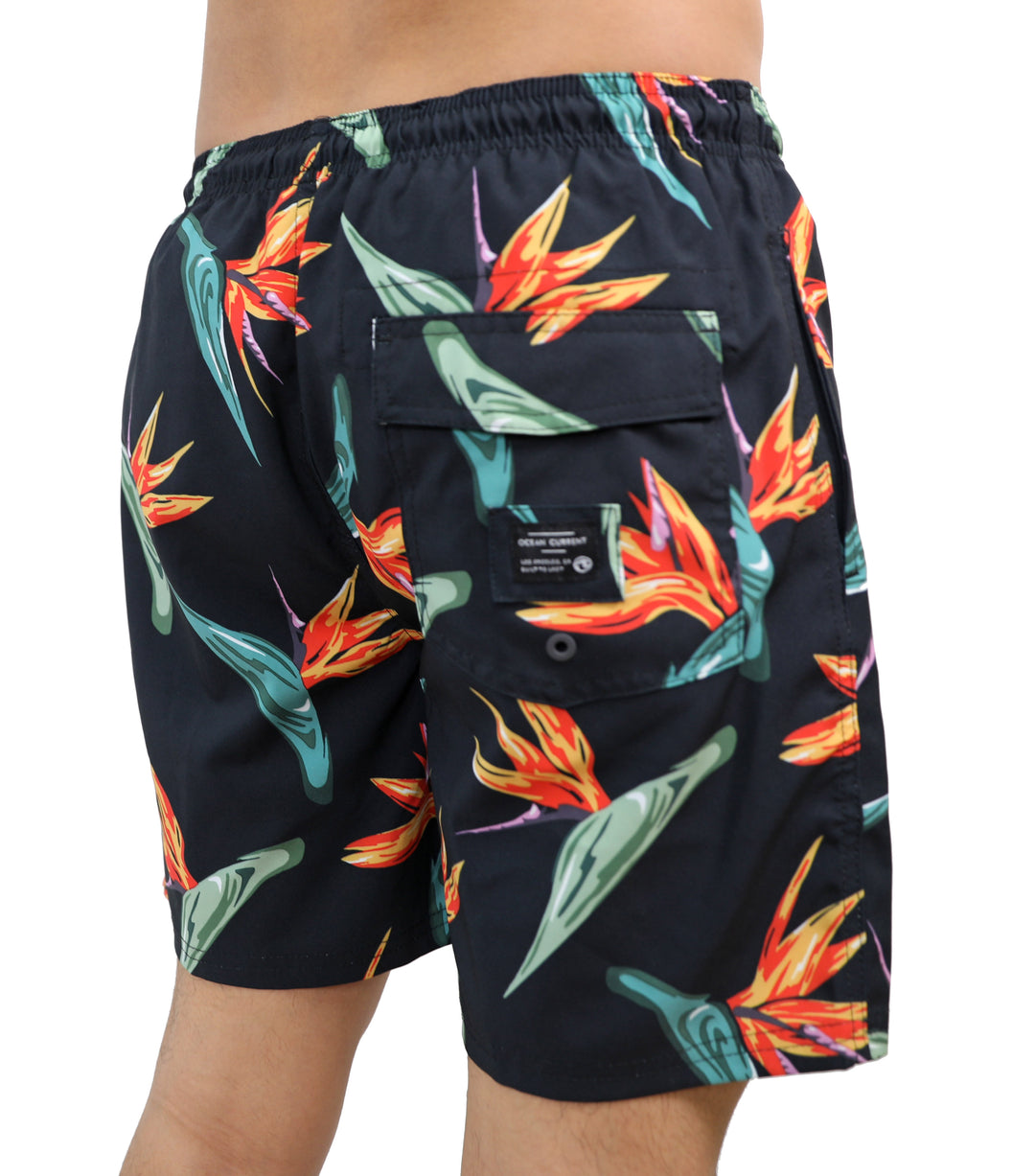 PARADISE BIRDS4 WAY STRETCH SWIM VOLLEY -Young mens