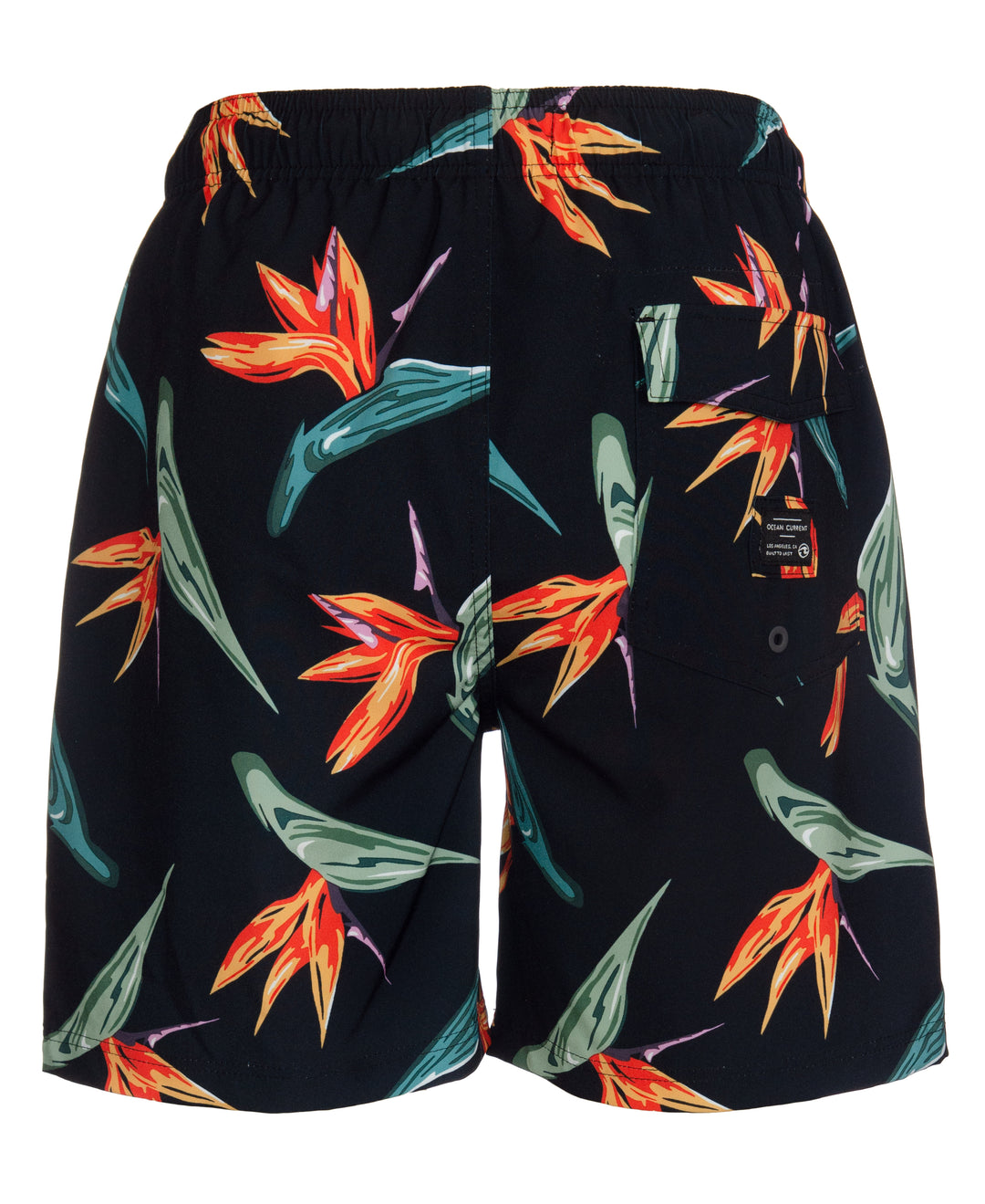 PARADISE BIRDS4 WAY STRETCH SWIM VOLLEY -Young mens